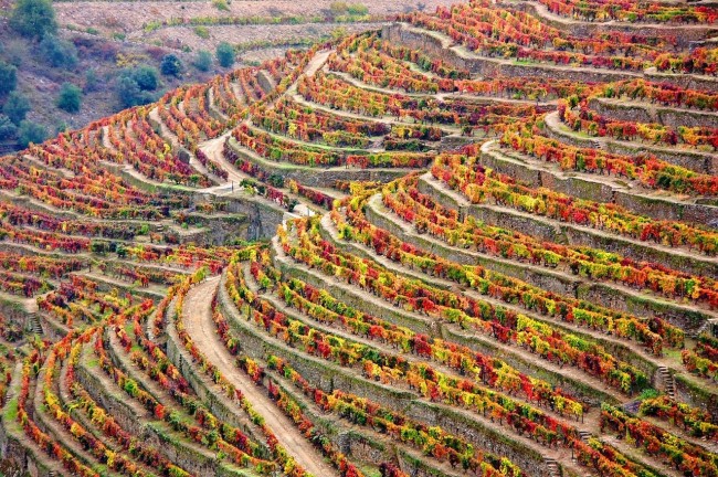 Douro landscape © Pixabay