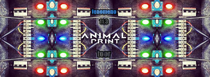 Fenonemo Club night | © Fenonemo/Facebook