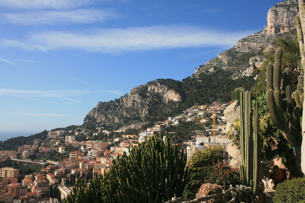 Exotic Gardens | © gabriella szekely / Flickr