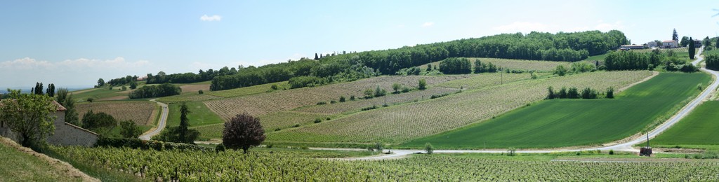 The vineyards of Tarn in the south-west of France are a great place to discover underrated wine | © Lloyd Morgan/Flickr