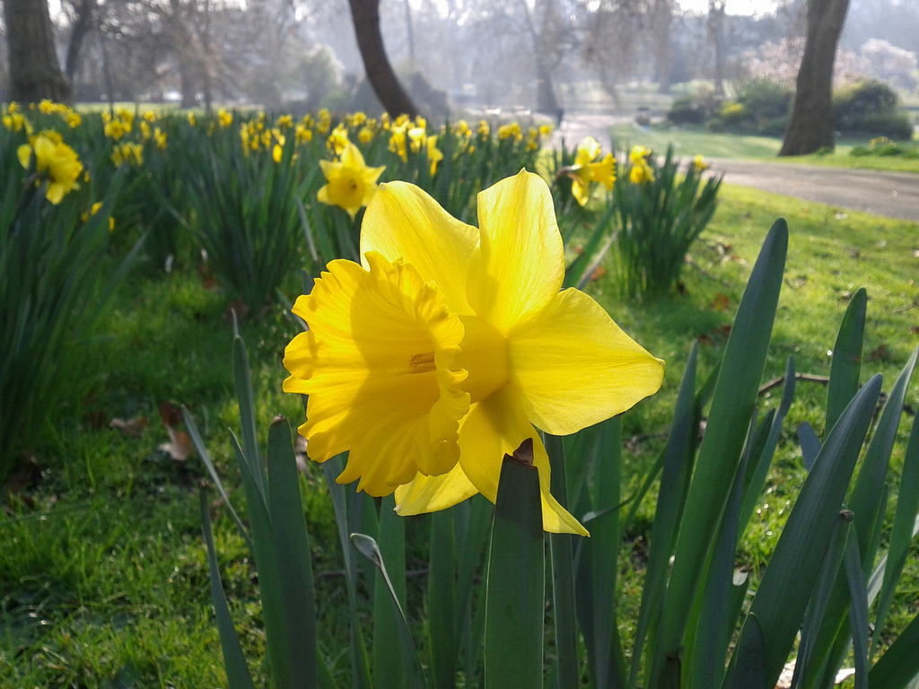 8 Beautiful Places to Enjoy Spring in London