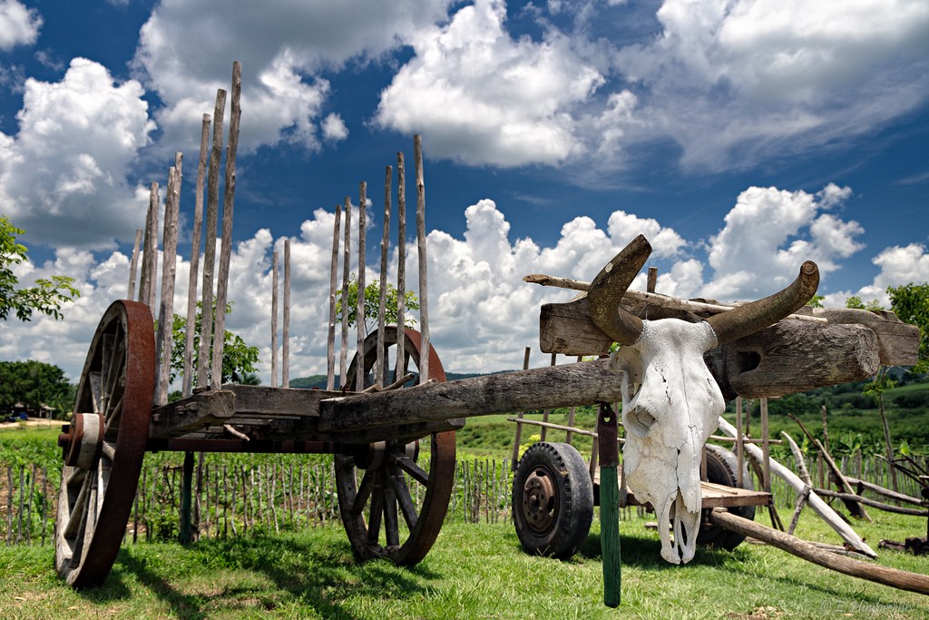 Rancho Gaviota | © Emmanuel Huybrechts / Flickr