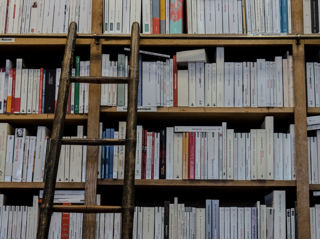 Bookshop Ladder | © manolofranco/Pixabay