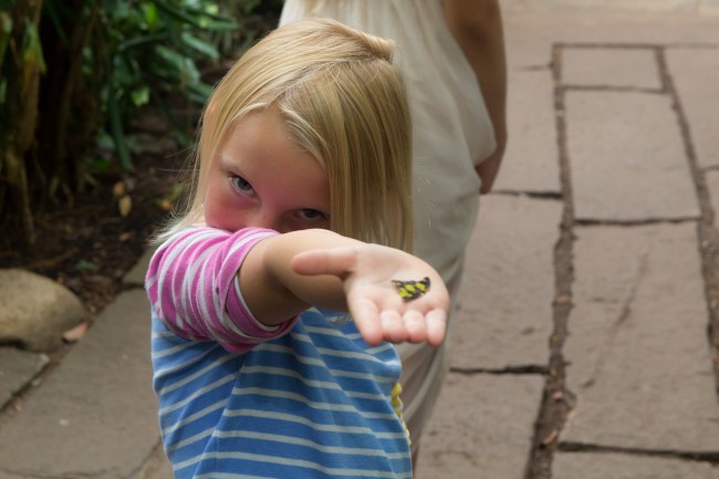 Butterfly House