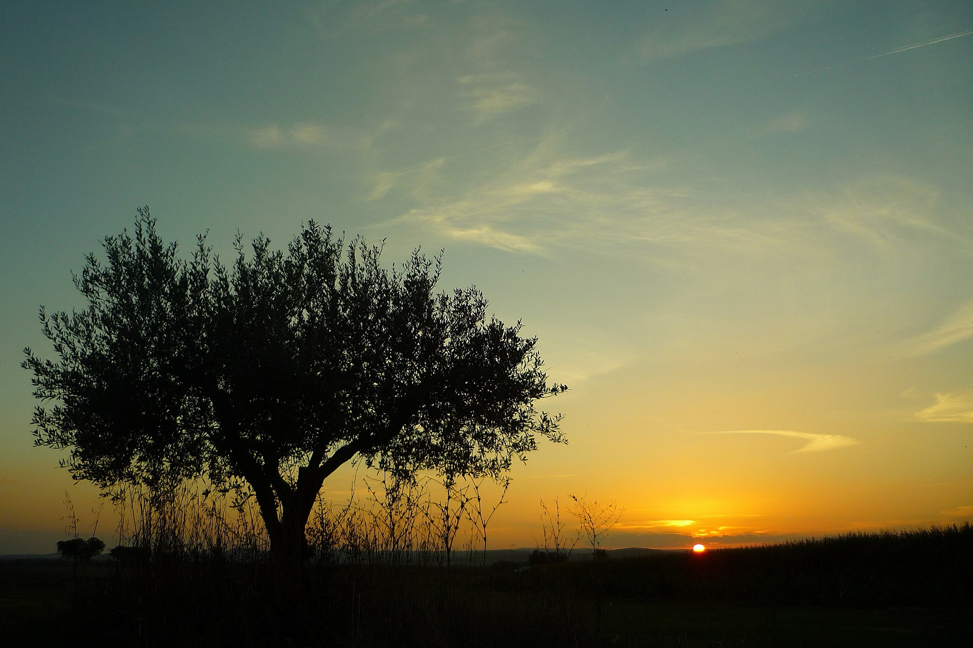Alentejo © Pixabay