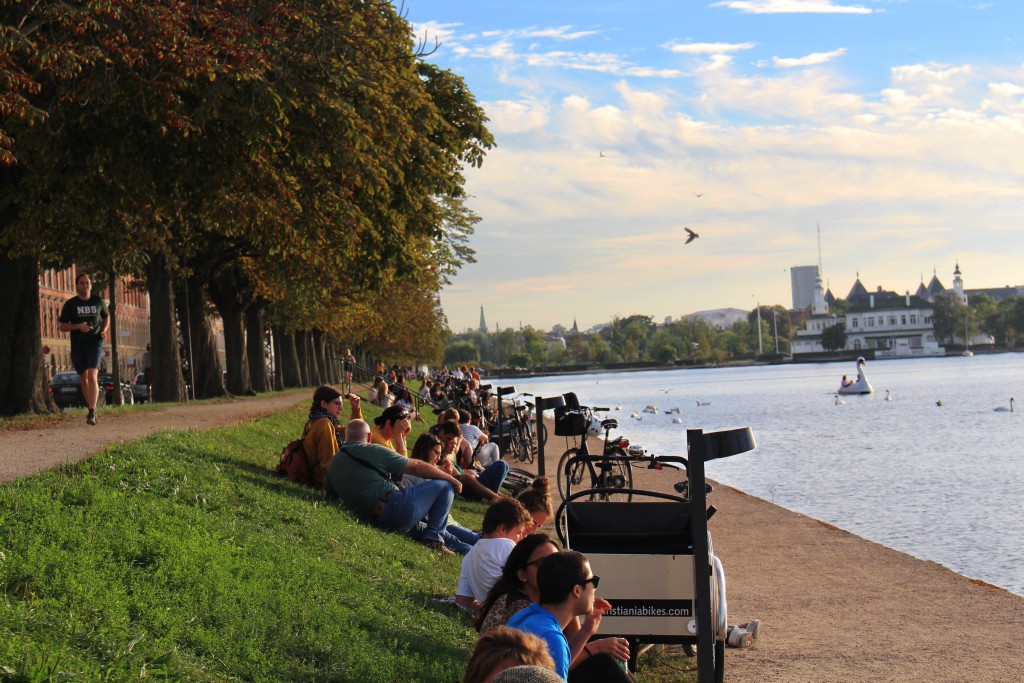Nørrebro Lakes | © Aliki Seferou