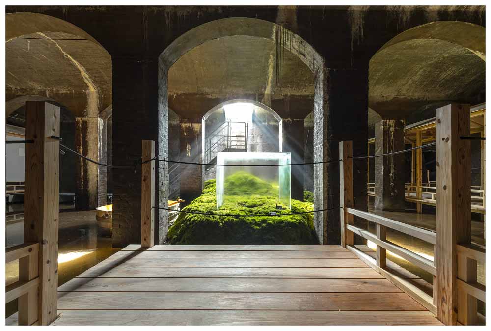 Installation view of Hiroshi Sambuichi's 'The Water', 2017 | Photo: Jens Markus Lindhe