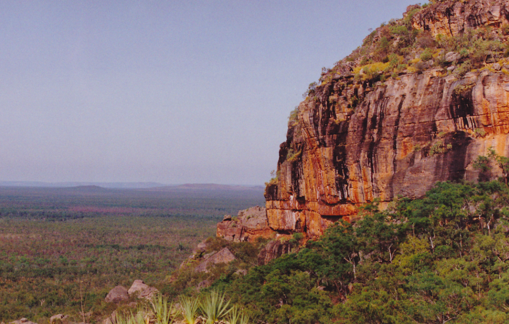 Kakadu