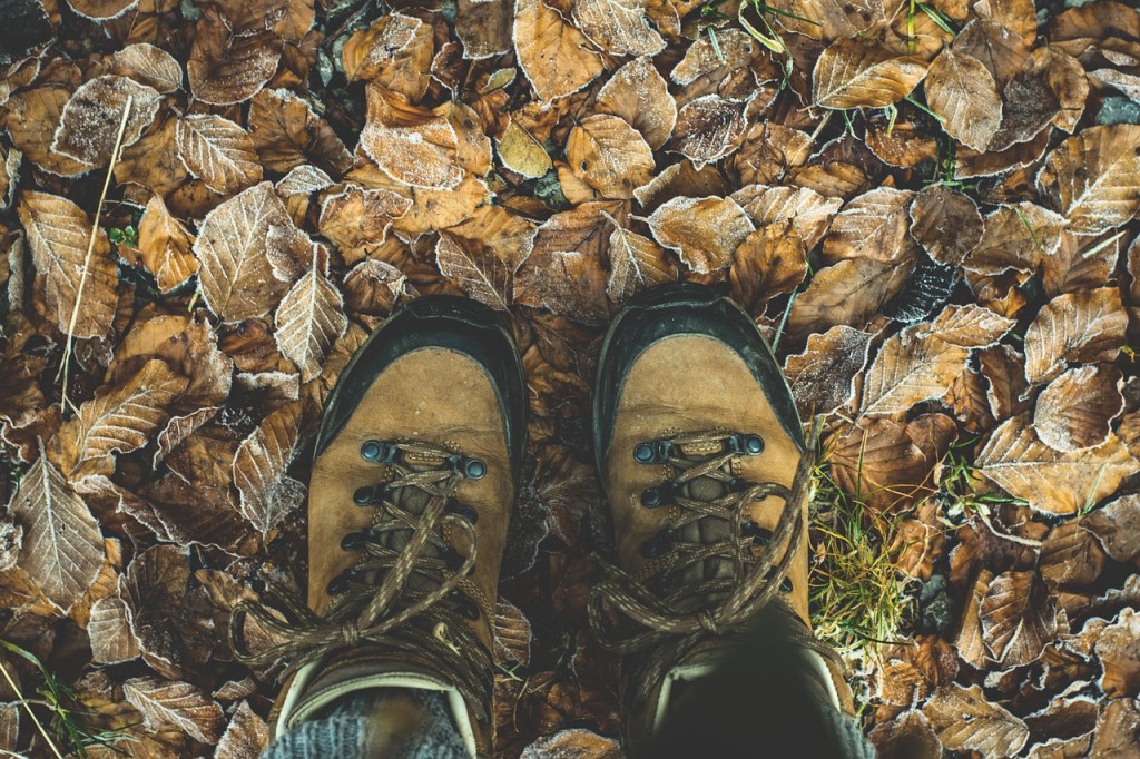 Hiking Shoes / Pixabay