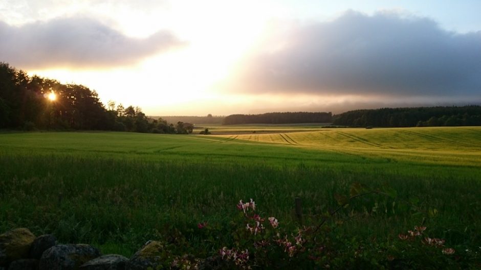 View from The Cowshed