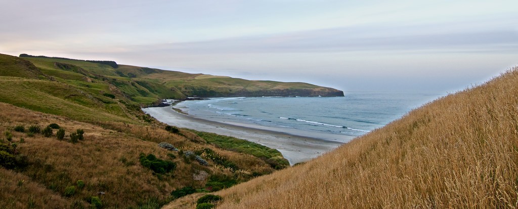 Cape Saunders, Otago Peninsula | © macronix/Flickr