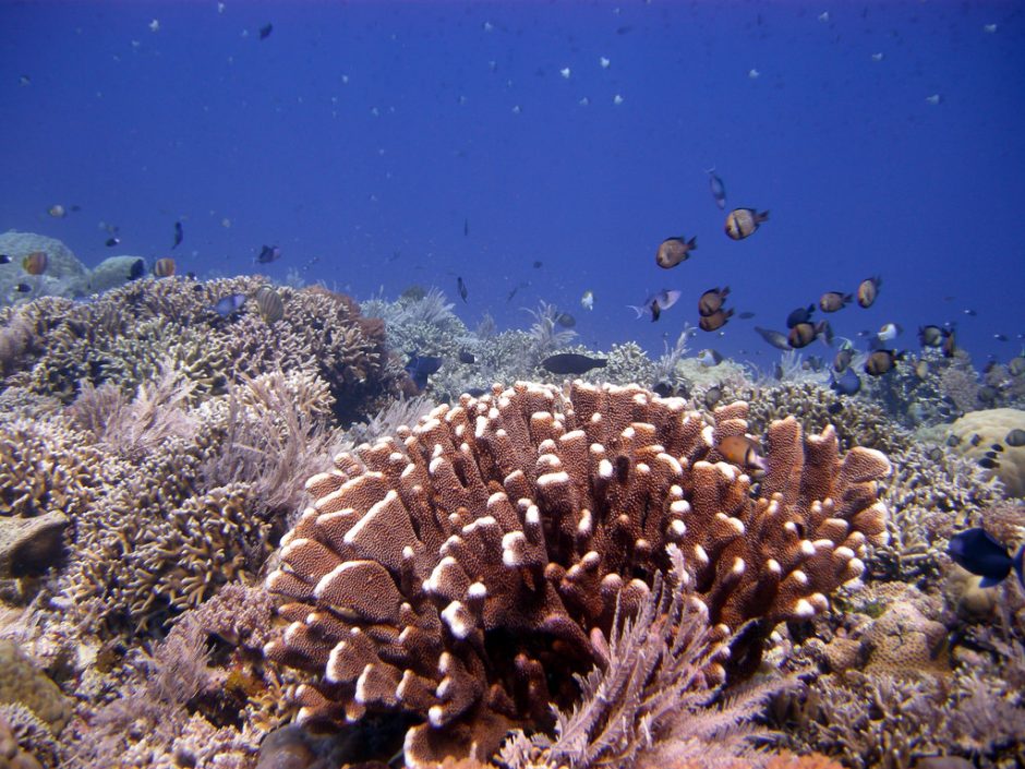 Bunaken National Park