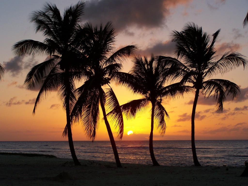 Beach Sunset |© Guich971/Pixabay