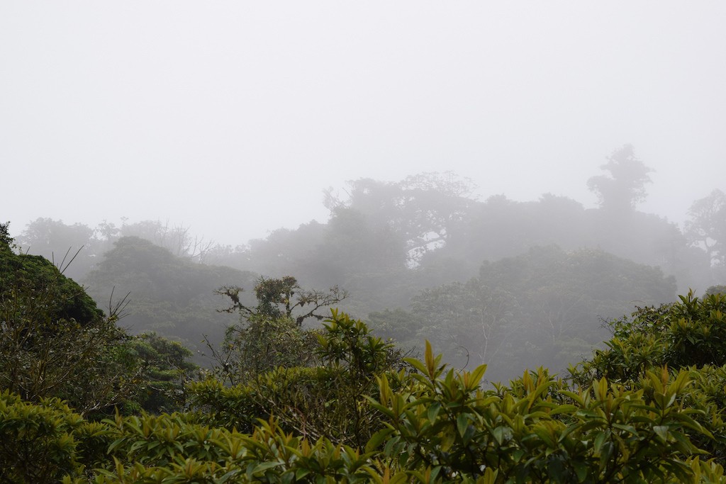 Step inside of the clouds| © Tommy Chheng/Flickr