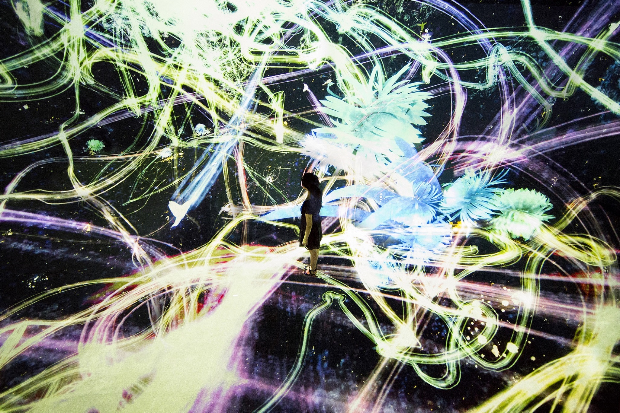 Crows are Chased and the Chasing Crows are Destined to be Chased as well, Transcending Space (Credit to teamLab)