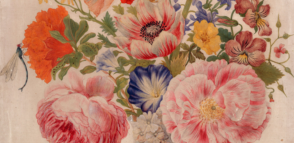 Maria Sibylla Merian, Chinese Vase with Roses, Poppies and Carnations (detail), c. 1670–1680 © Staatliche Museen zu Berlin, Kupferstichkabinett/ Dietmar Katz