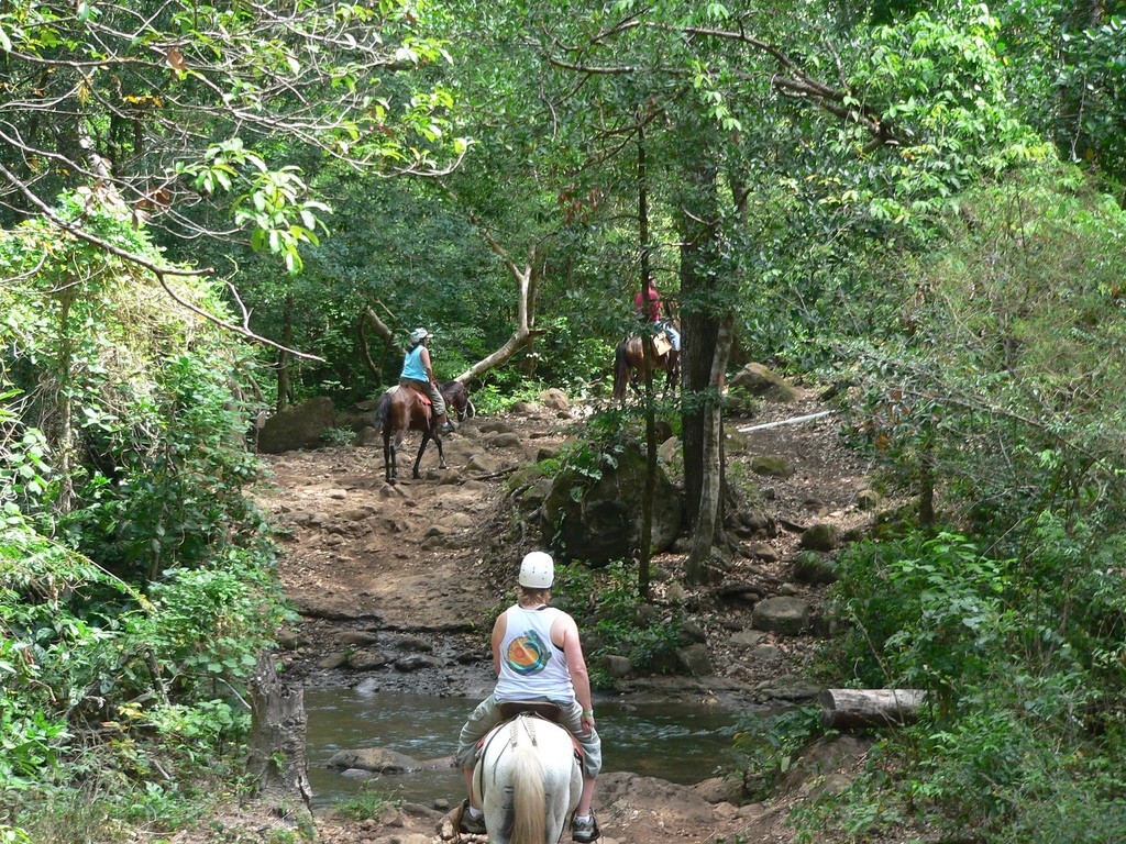 To the zip line platforms via horseback