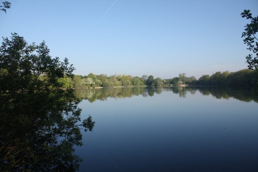 Neigh Bridge Country Park | © Mark Kent/Flickr