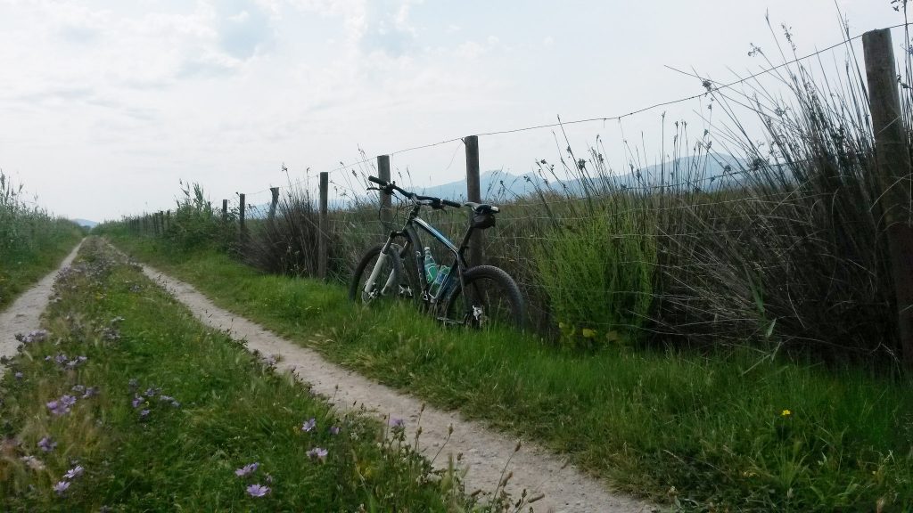 S'Albufera bike trail © List_84 / Flickr