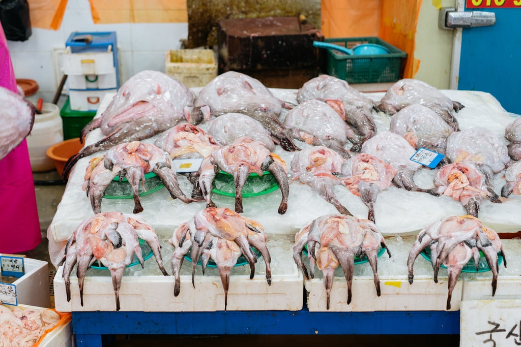 NORYANGJIN FISH MARKET-SEOUL MARKETS-SEOUL-SOUTH KOREA