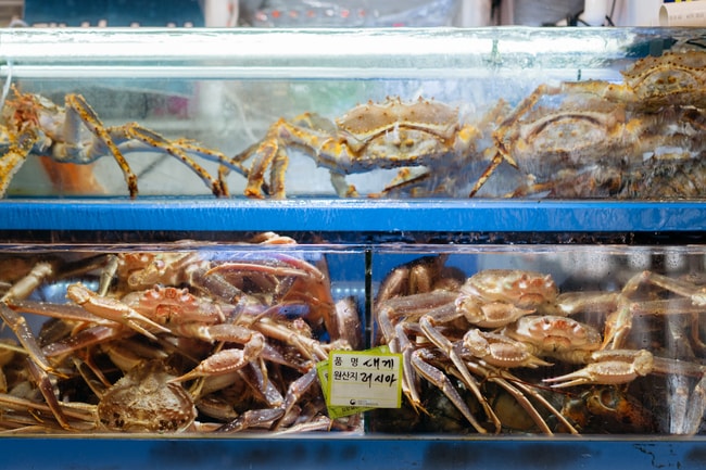NORYANGJIN FISH MARKET-SEOUL MARKETS-SEOUL-SOUTH KOREA