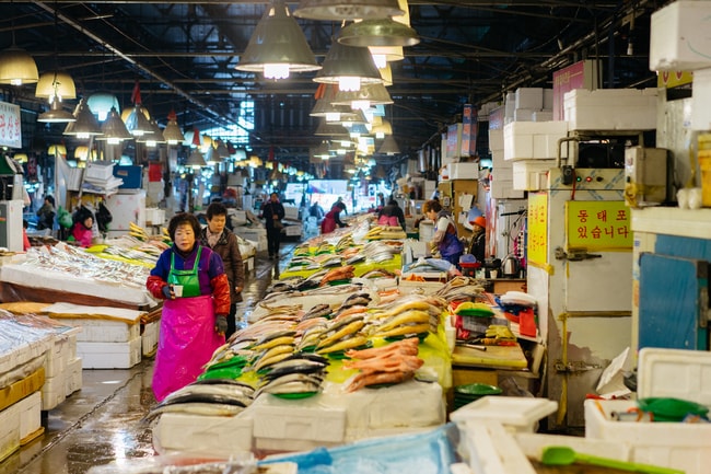 NORYANGJIN FISH MARKET-SEOUL MARKETS-SEOUL-SOUTH KOREA