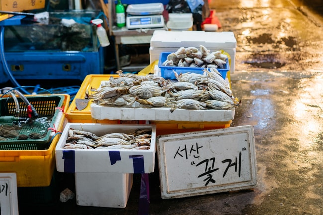 NORYANGJIN FISH MARKET-SEOUL MARKETS-SEOUL-SOUTH KOREA