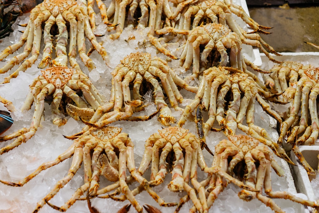 NORYANGJIN FISH MARKET-SEOUL MARKETS-SEOUL-SOUTH KOREA