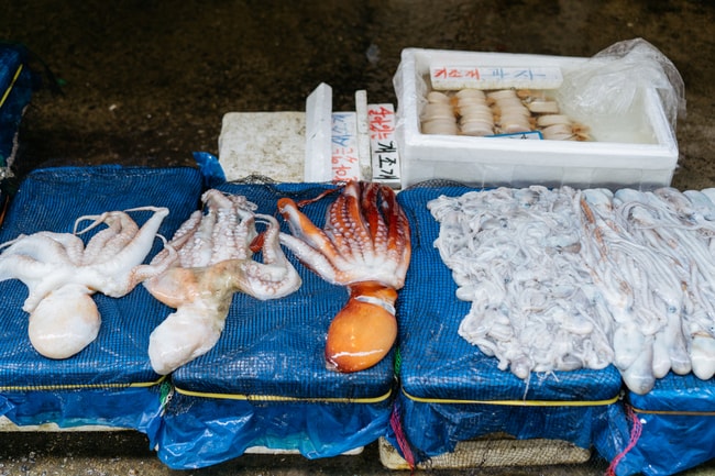 NORYANGJIN FISH MARKET-SEOUL MARKETS-SEOUL-SOUTH KOREA