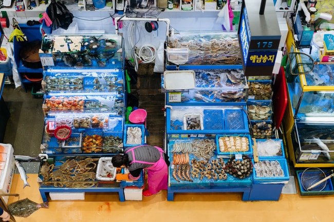NORYANGJIN FISH MARKET-SEOUL MARKETS-SEOUL-SOUTH KOREA