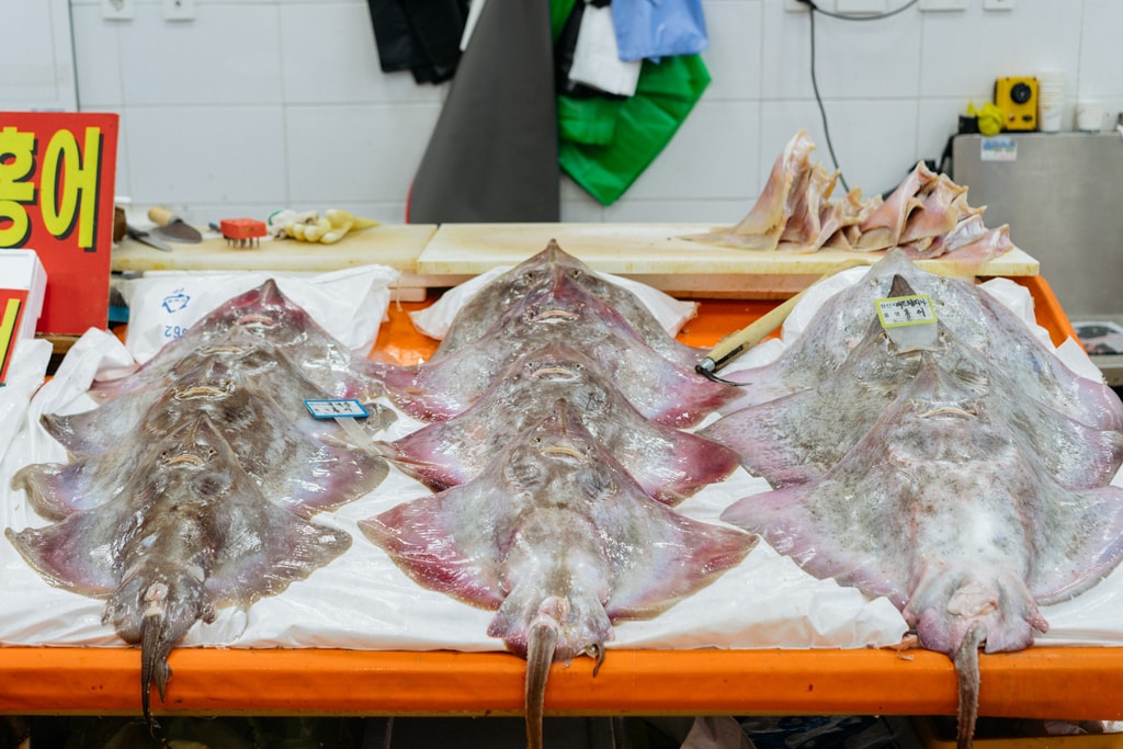 NORYANGJIN FISH MARKET-SEOUL MARKETS-SEOUL-SOUTH KOREA