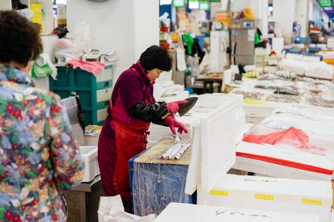NORYANGJIN FISH MARKET-SEOUL MARKETS-SEOUL-SOUTH KOREA