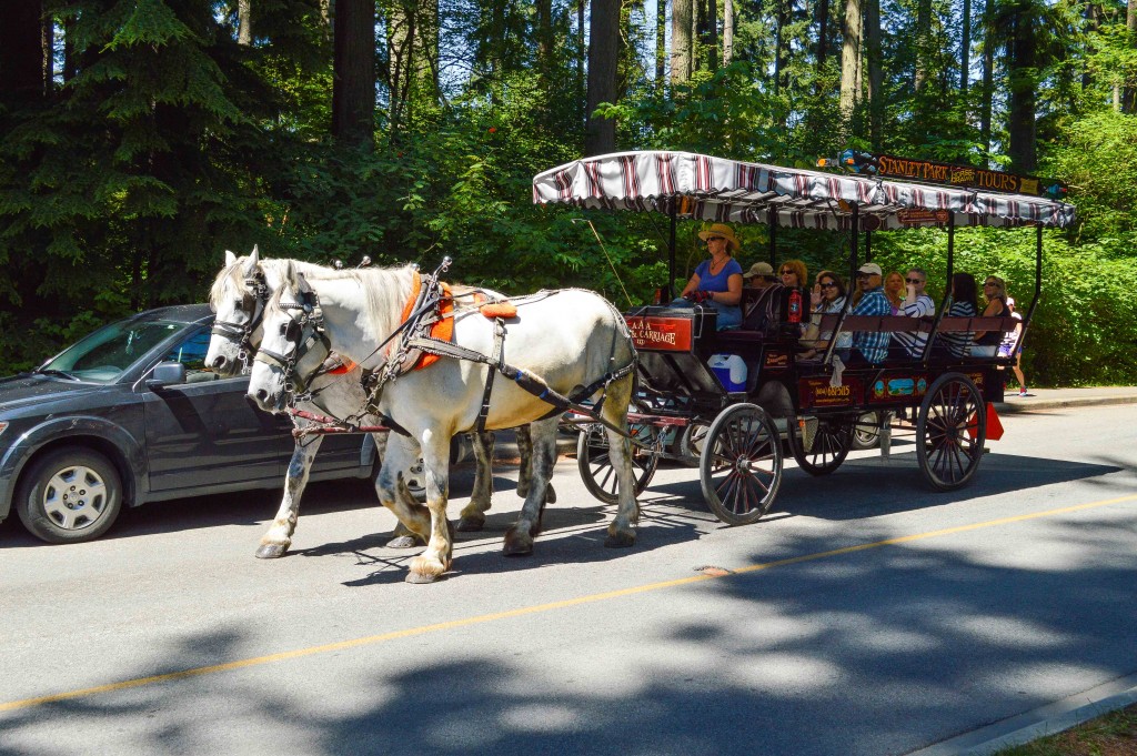 Stanley Park Horse Drawn Tour | © Hayley Simpson