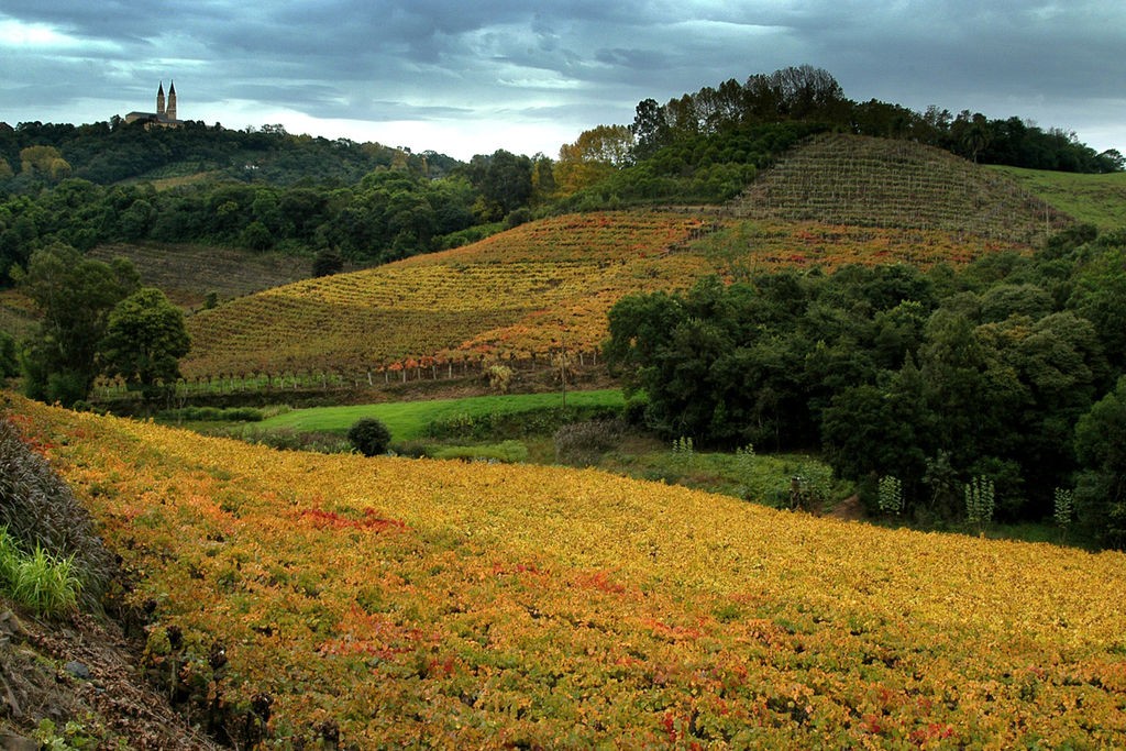 Vale dos Vinhedos / © Germano Roberto Schüür / Wikimedia Commons