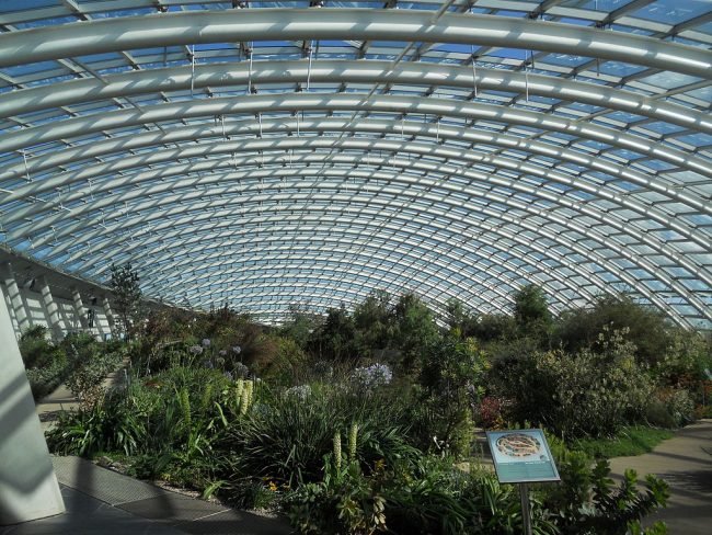 Greenhouse at The National Botanic Garden of Wales. Credit: Mikani/Wikimedia Commons