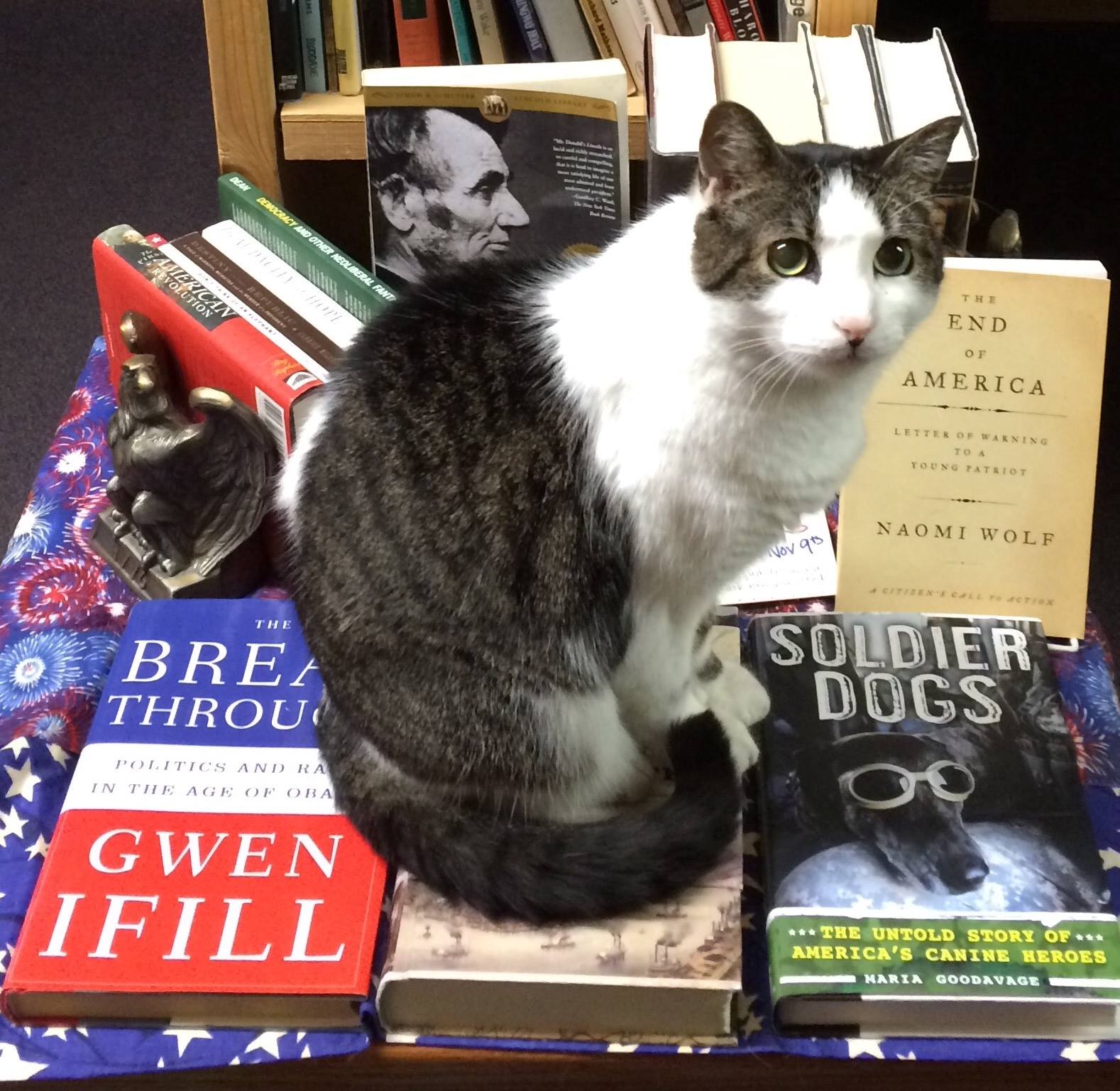 Courtesy of A Novel Idea Bookstore