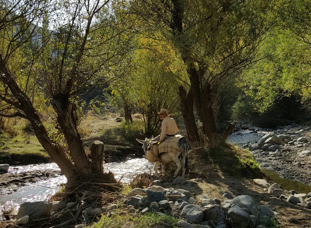 The village of Durvan is located in Taleghan's 'green valley' | © Pontia Fallahi