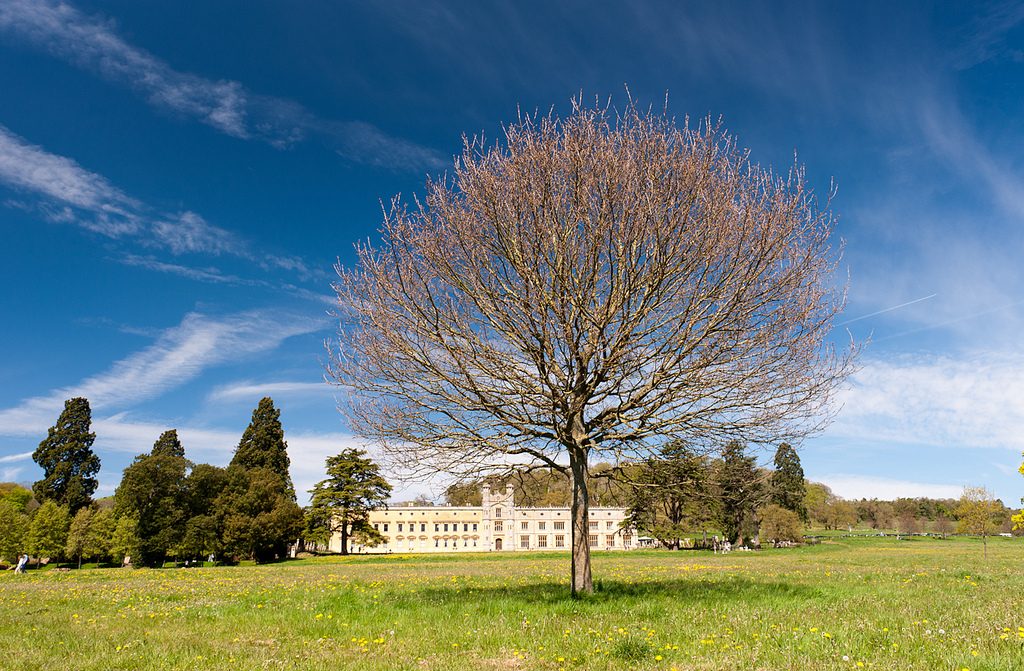Ashton Court| © George Bladon/Flickr