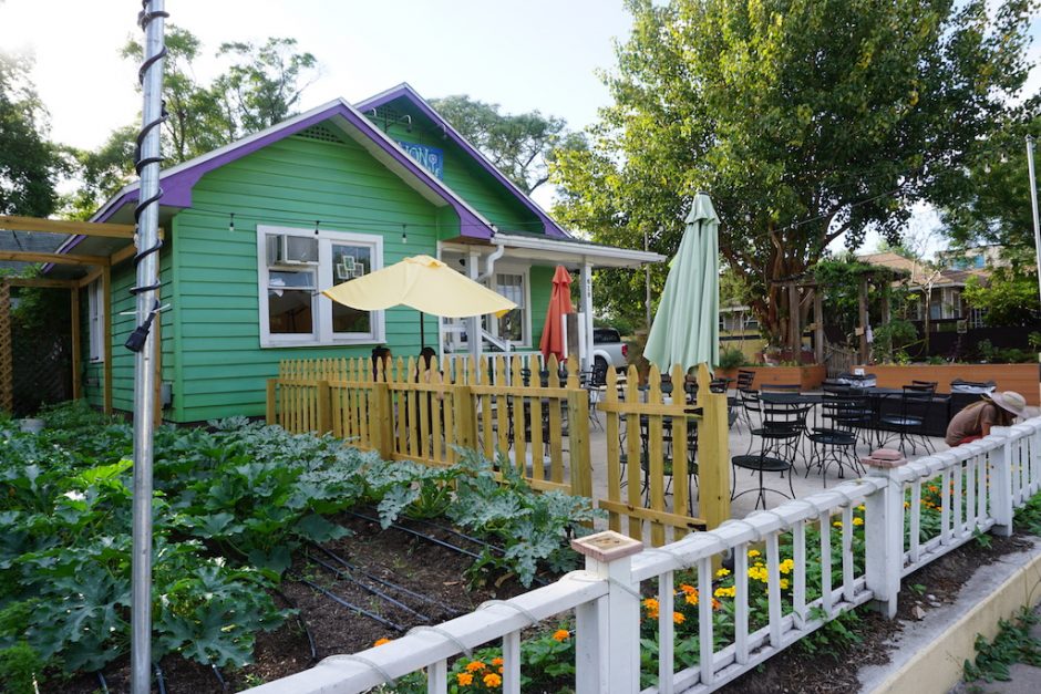 Dandelion Communitea Cafe Orlando || photo by Kelsey Glennon