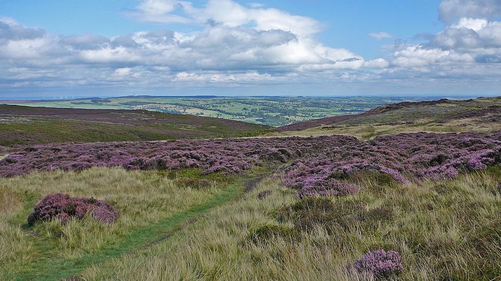 Ilkley Moor