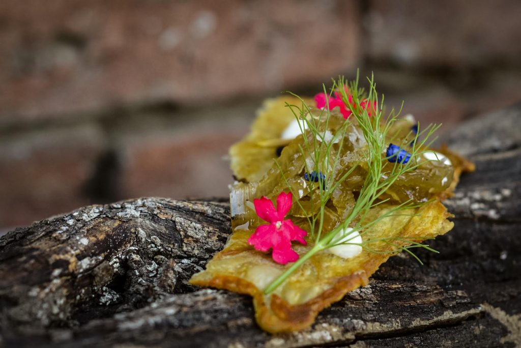 Pampa Roja's "goosebumps" appetizer of crispy chicken skin, celery chutney, and a lemon sabayon with wild verbenas | Courtesy of Pampa Roja