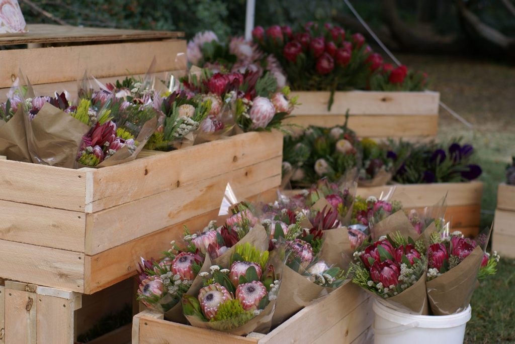 Proteas at the Linden Market
