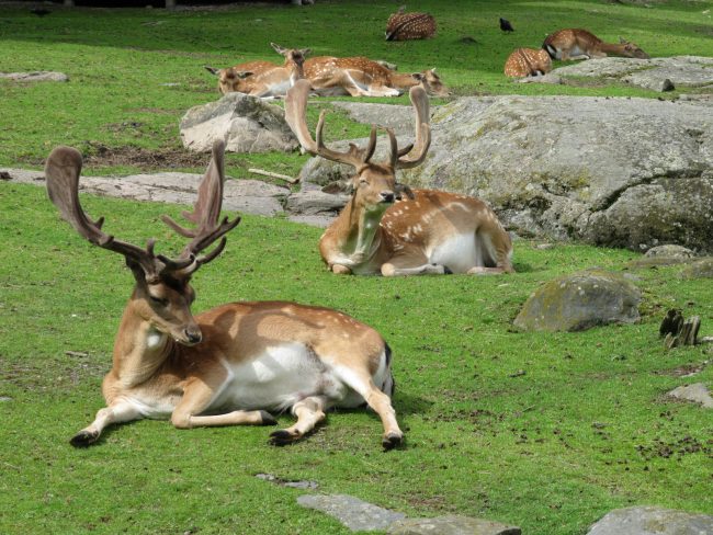 Sweden's best attractions