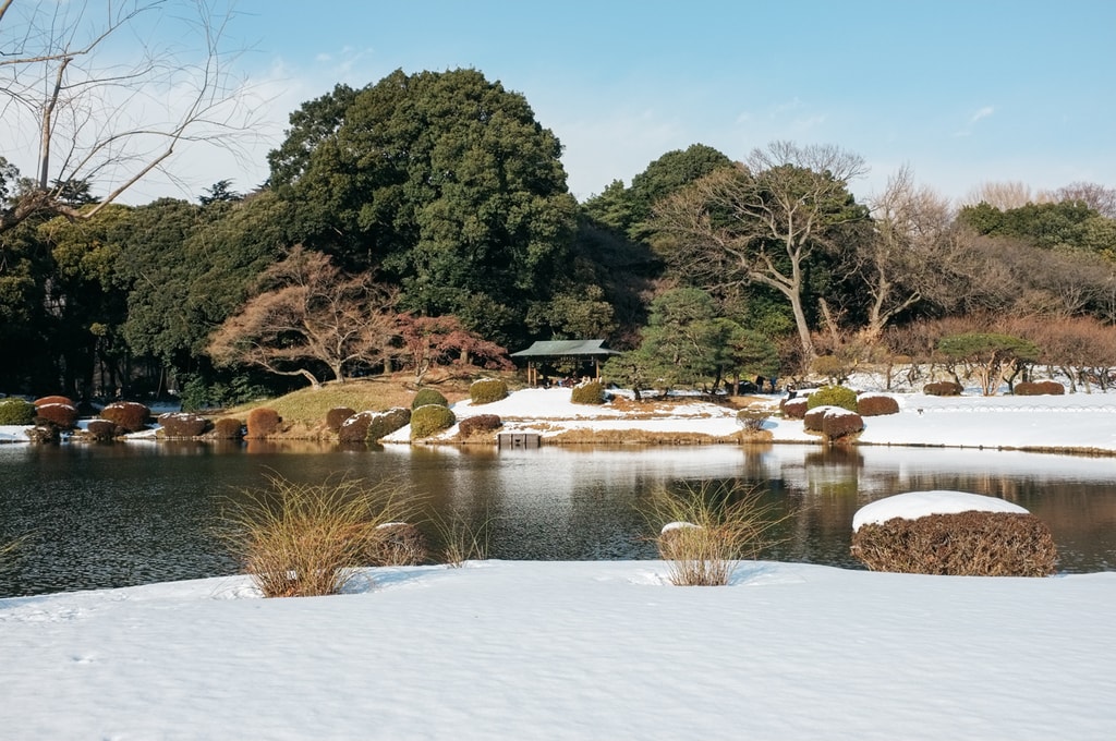 SCTP0104-SHINKAREVA-SHINJUKU-GYOEN15