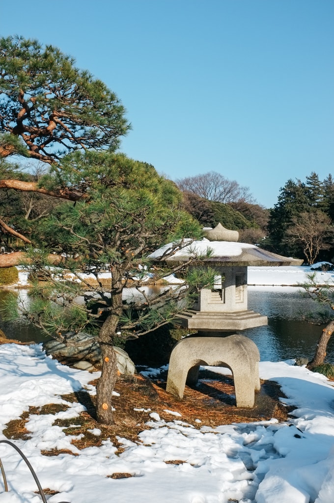 SCTP0104-SHINKAREVA-SHINJUKU-GYOEN9