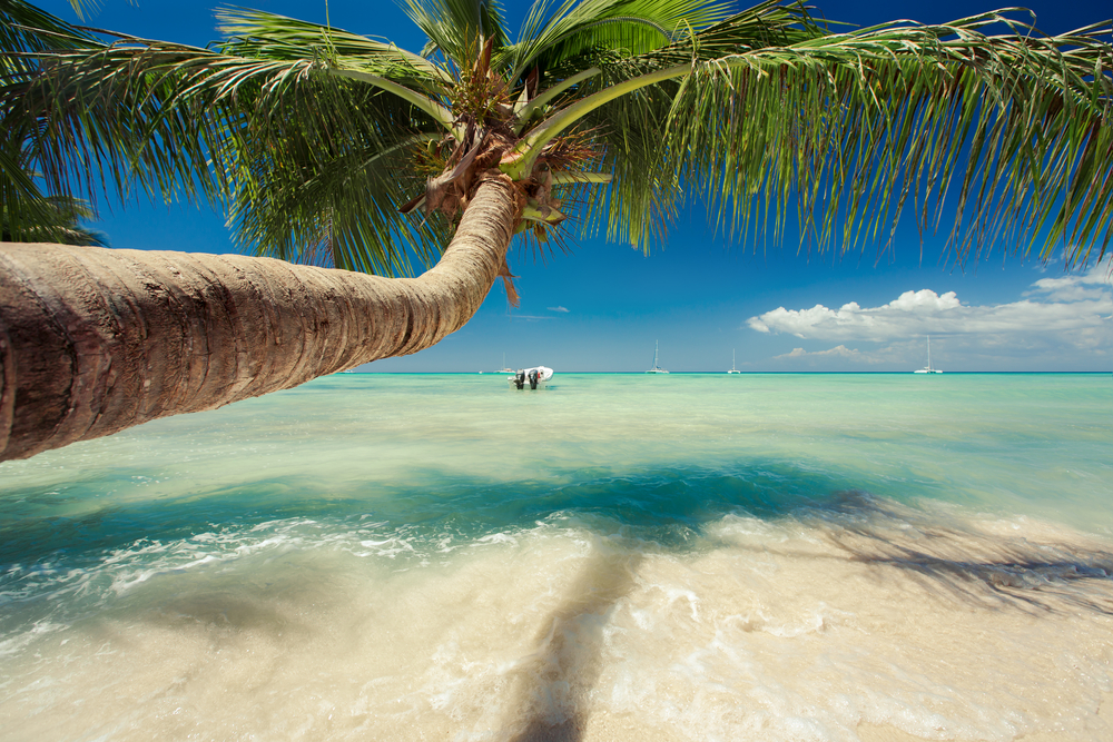 © Valentin Valkov/Shutterstock