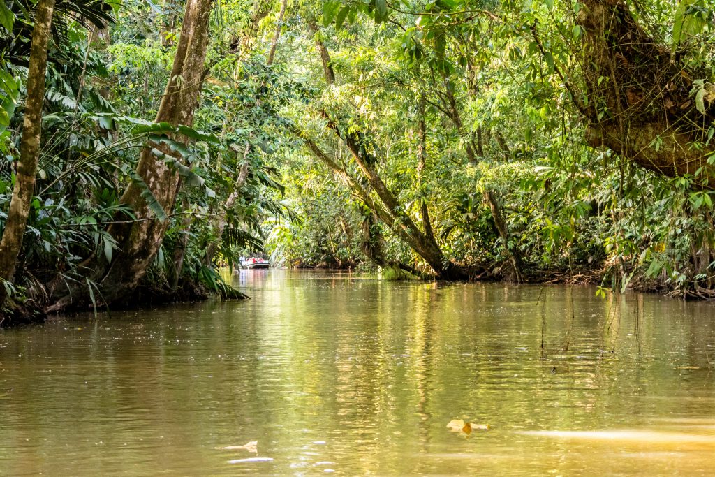 The Top 10 Things to Do and See in Costa Rica