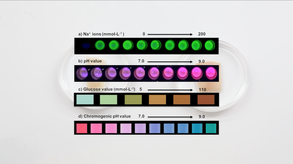 Courtesy of MIT Media Lab and Harvard Medical School