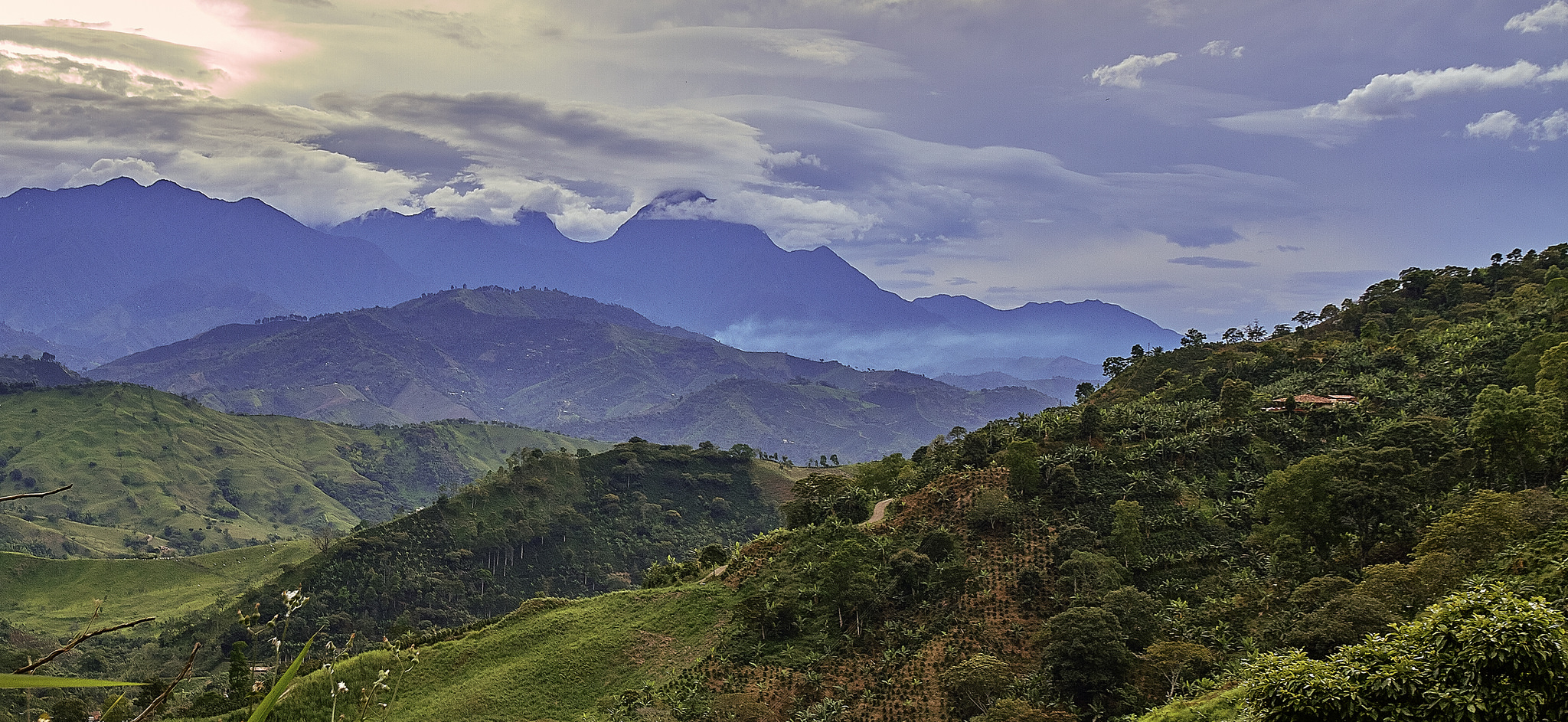 The jungles of Colombia | © Pedro Szekely/Flickr
