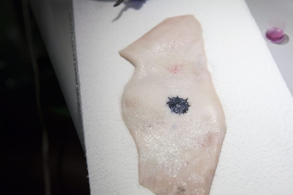Blue Ink | All images courtesy of MIT Media Lab and Harvard Medical School